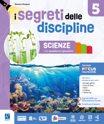 I SEGRETI DELLE DISCIPLINE SCIENTIFICO 5° 371