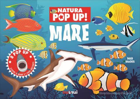 NATURA POP UP - MARE nuinui