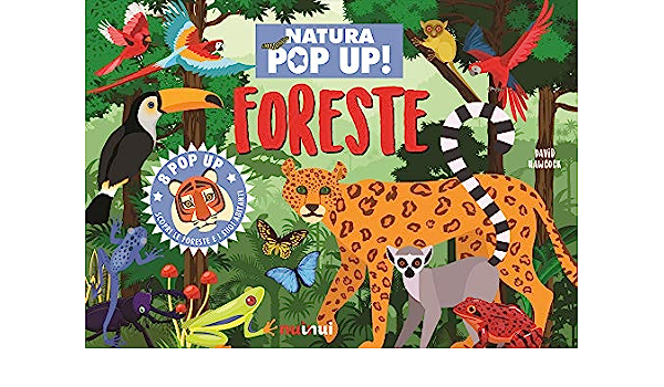 NATURA POP UP - FORESTE nuinui